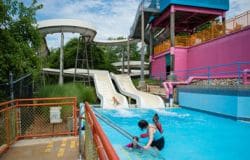 Bert & Ernie’s Slip & Slide