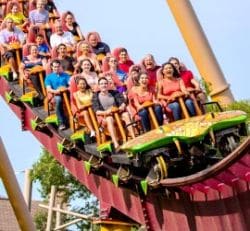 Diamondback