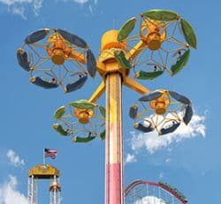 Falcon’s Flight