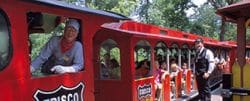 Frisco Silver Dollar Line Steam Train