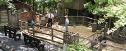 Homestead Animal Barnyard