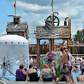 Laguna Splash Mushrooms