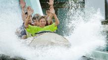 Log Flume