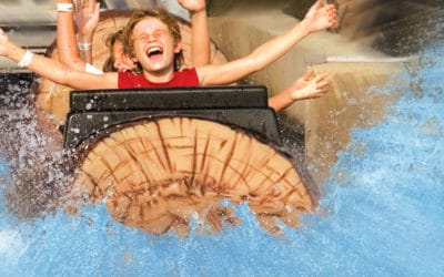 Log Flume Water Ride