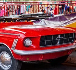 Mustangs