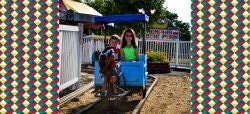 Pony Carts