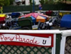 Pony Parade