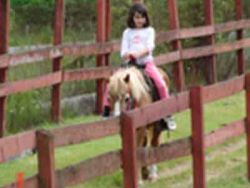 Pony Rides