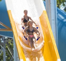 Portside Plunge