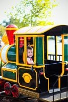 Rio Grande Train