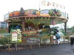 Safari Stampede