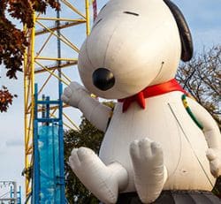 Snoopy Bounce