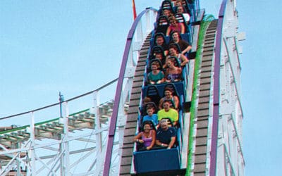 Swamp Fox Roller Coaster