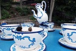 Tea Cups