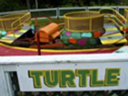 Turtle