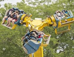 Wipeout