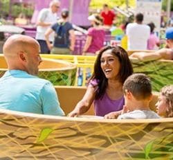 Woodstock Whirlybirds